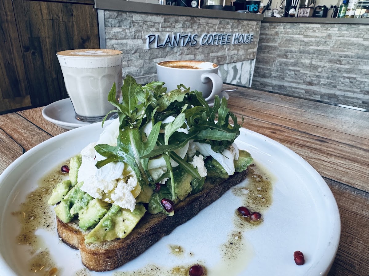 01Plantas Coffee House