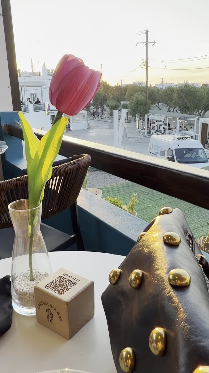 Cactus Cafe Bar