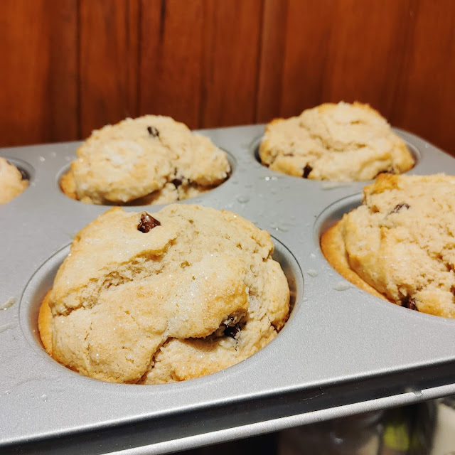 Chocolate Chip Muffin