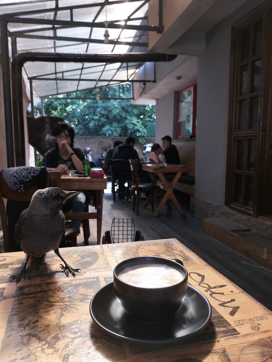 Odin Cafe