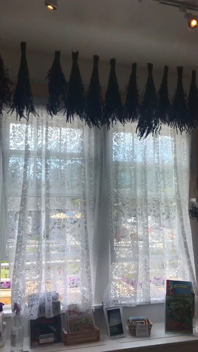 Lavender Wind