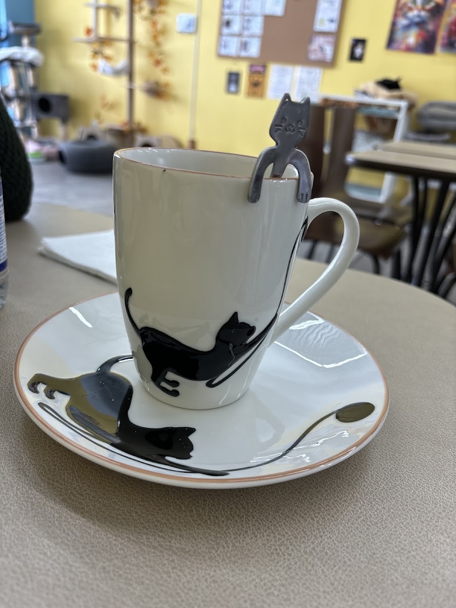 Café Cats & Friends