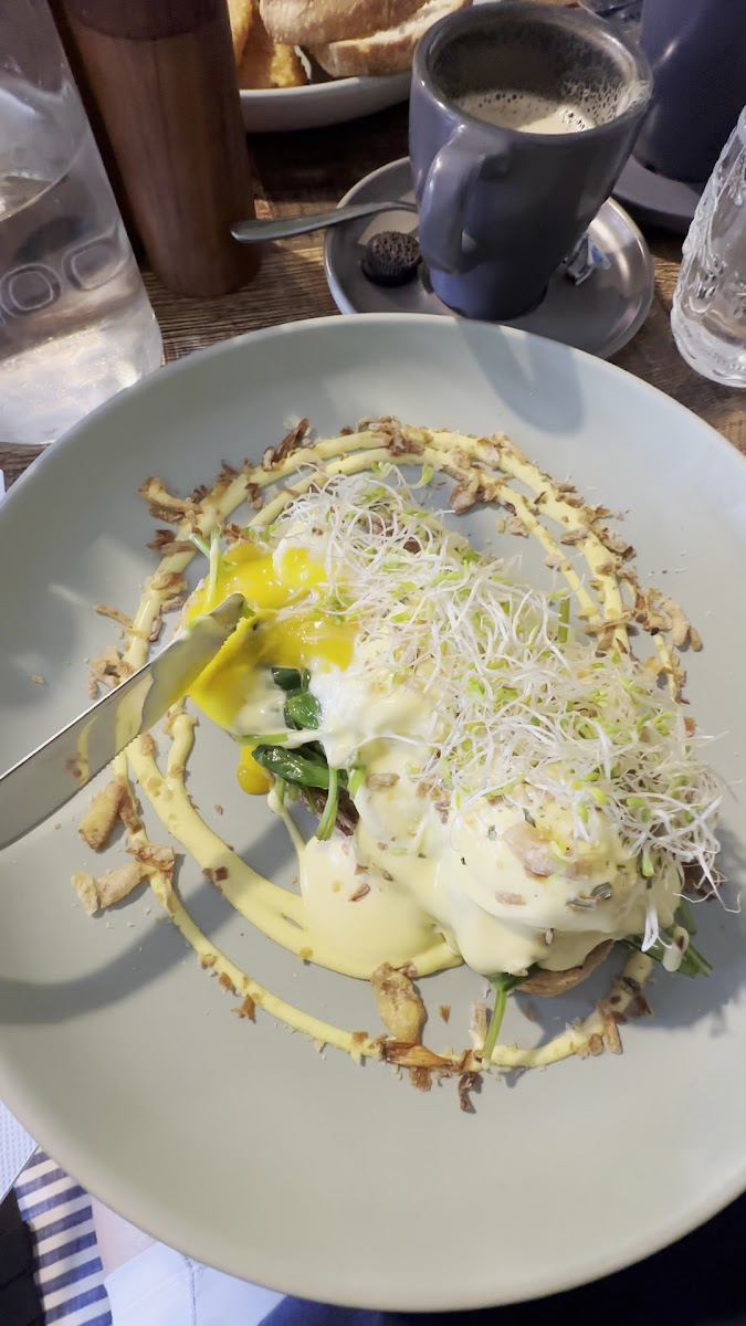 SOLAR CAFE