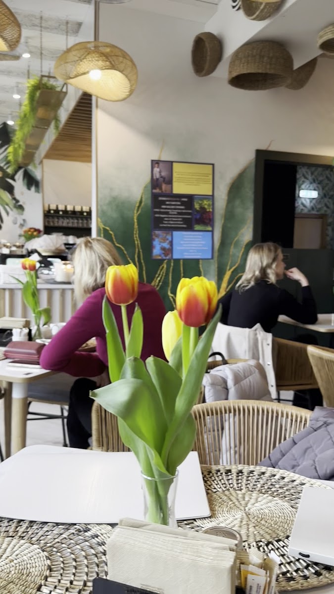 Cafe By Design