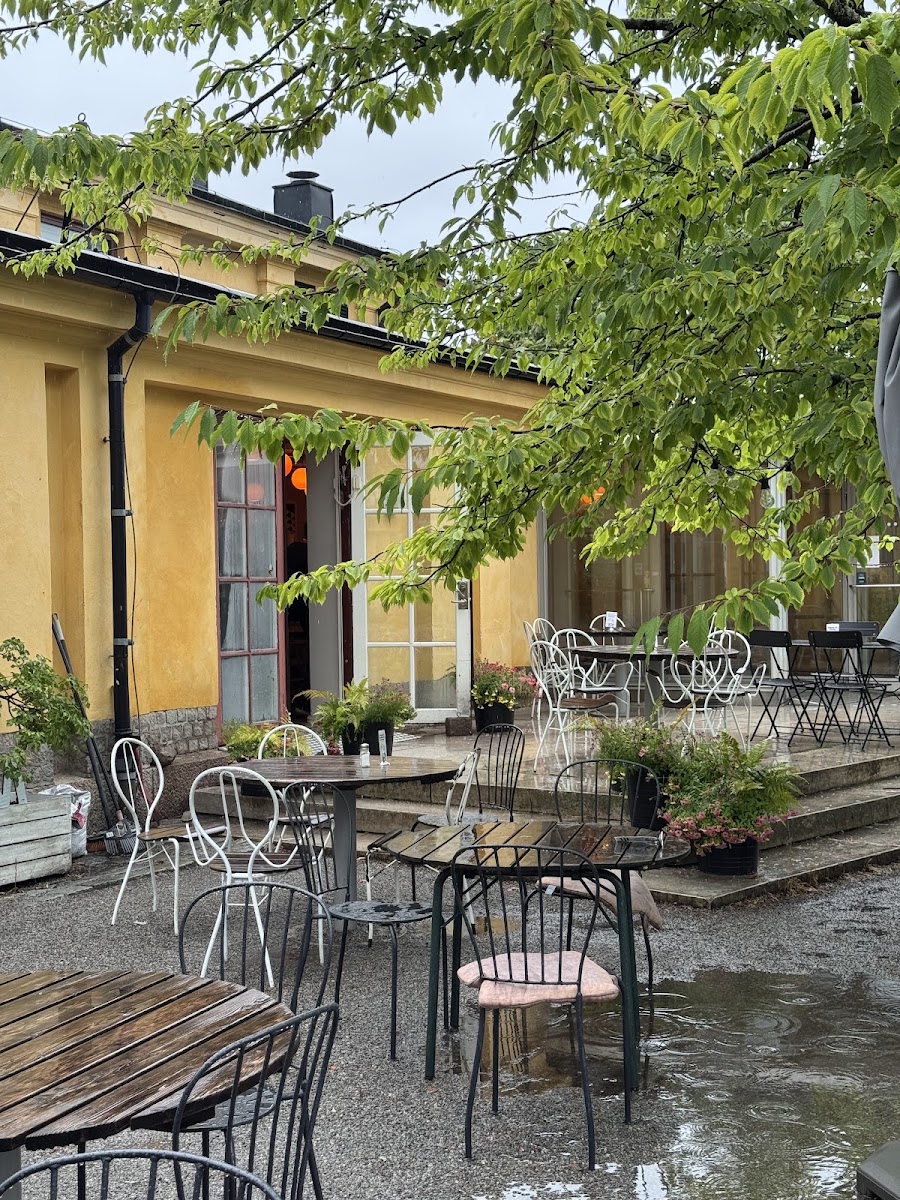 Café Blom