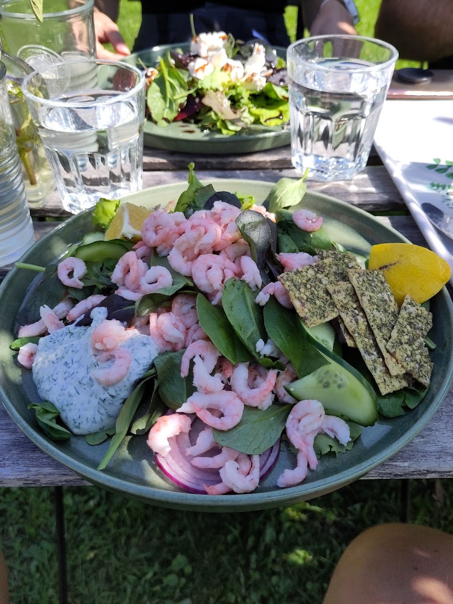 Wisingsborgs Trädgård