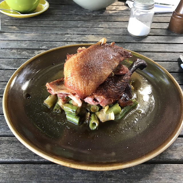 Duck