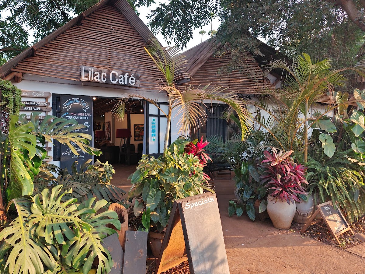 Lilac Café