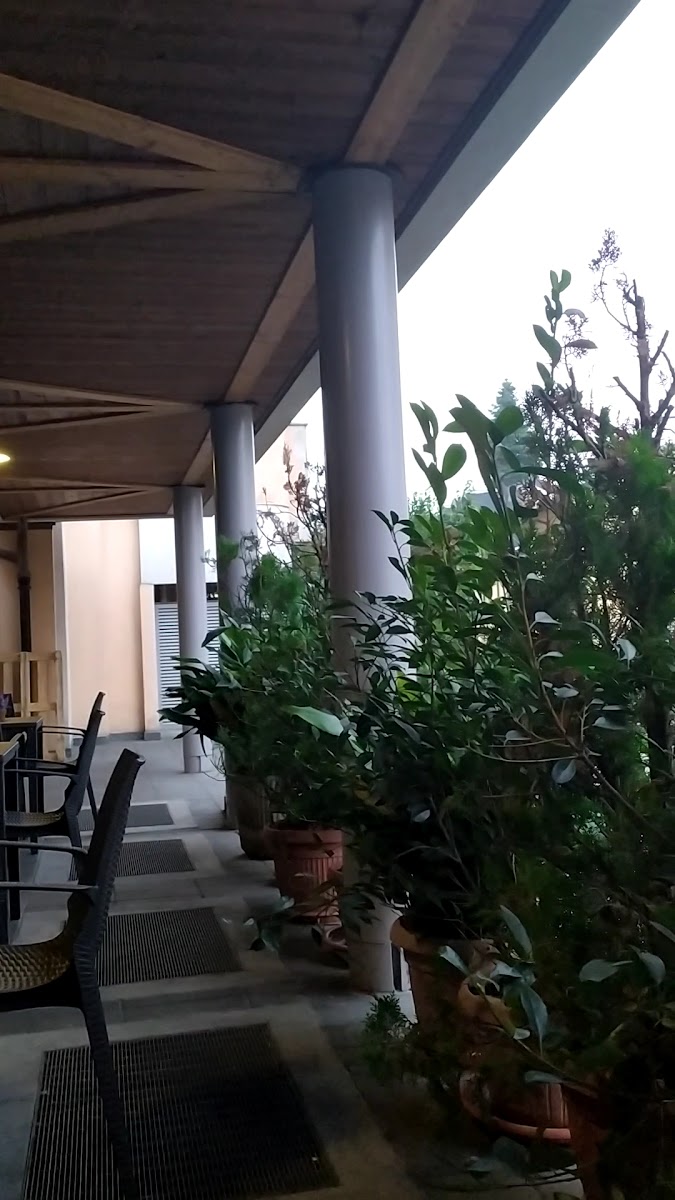 Suchende Cafè