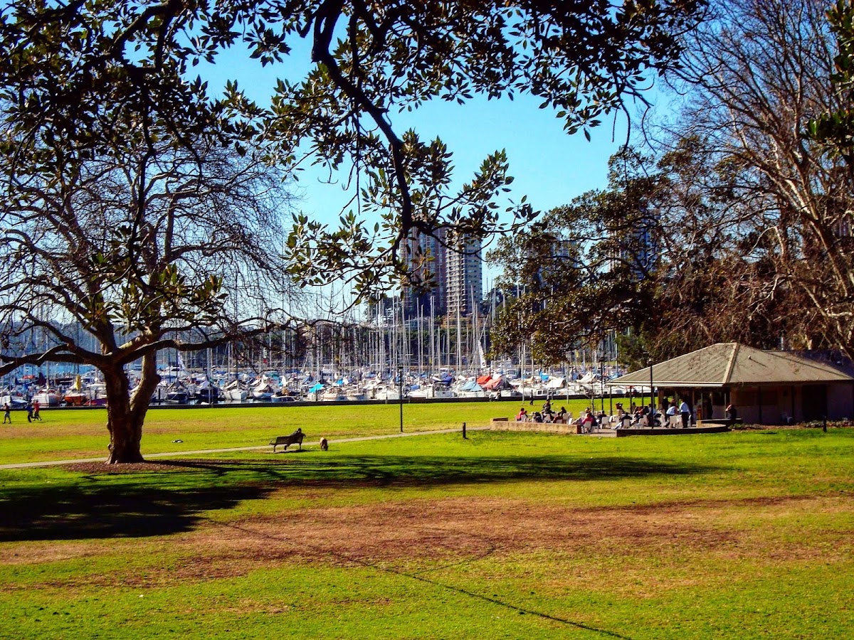 Rushcutters Bay Kiosk