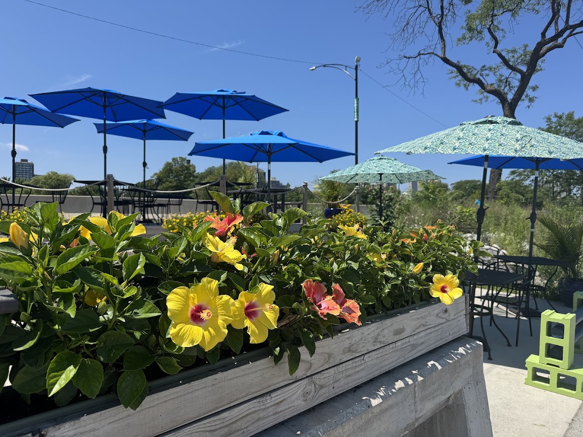 Sandbox Beach Cafe