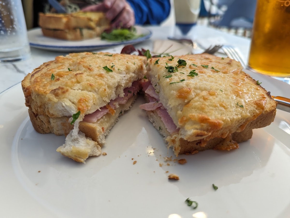 Taste Café at Dorset Museum