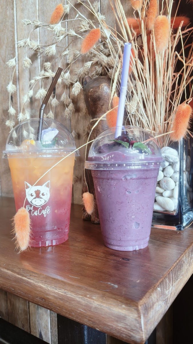 Red Cat Cafe