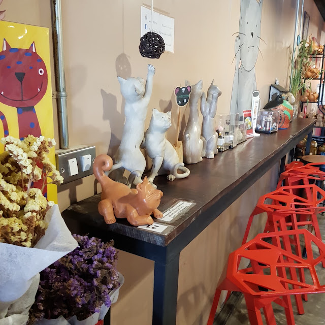 Cat Cafe