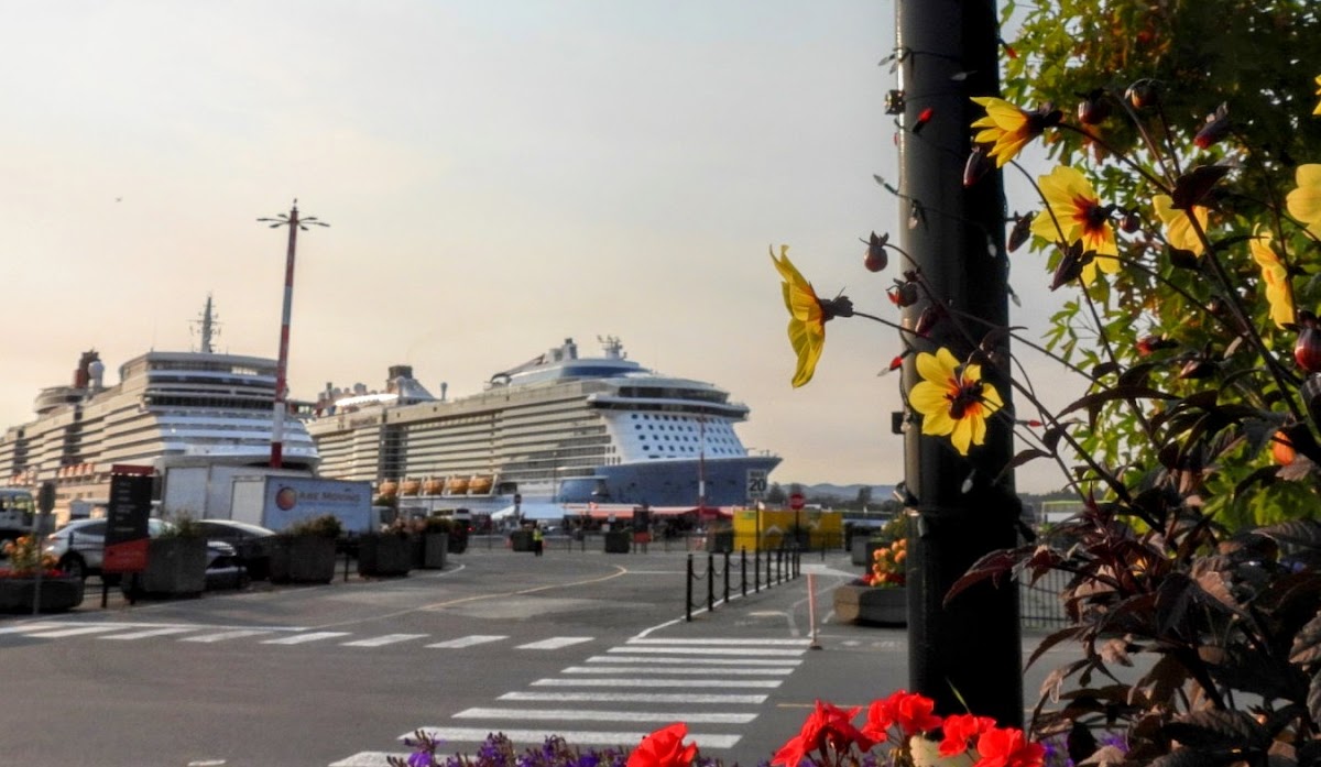 Ogden Point Cafe