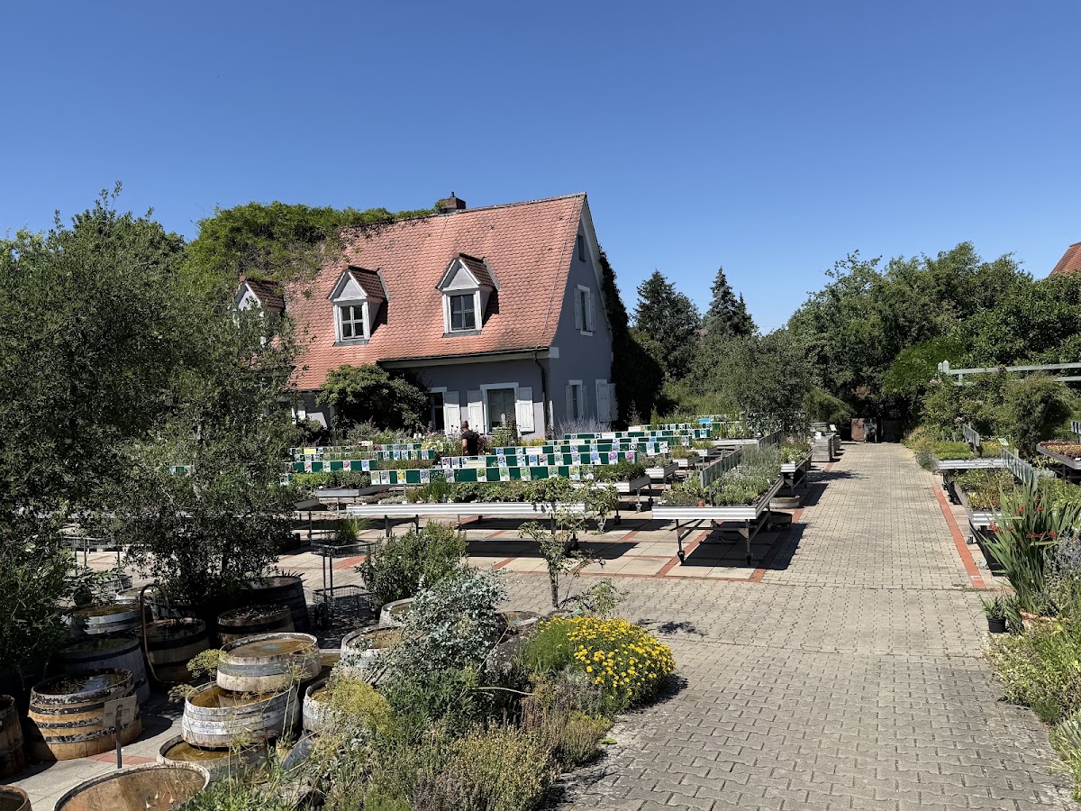 Augustins Gartencafé