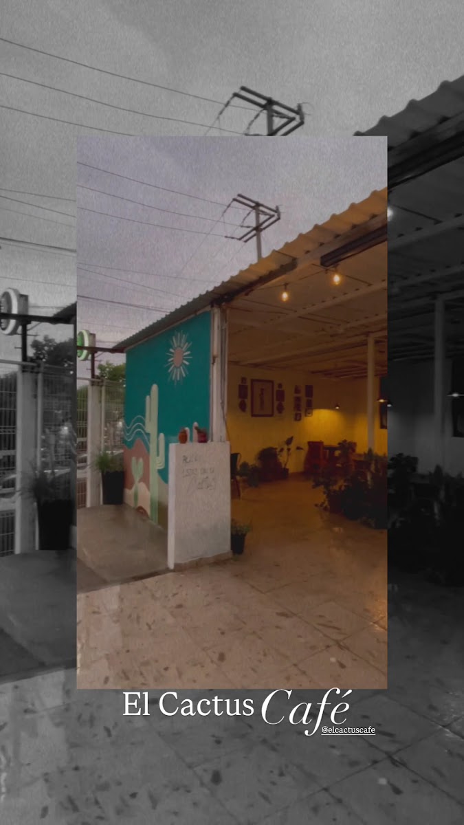 El Cactus Cafe