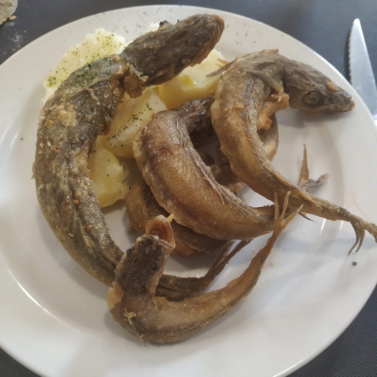 Cafetería Con Dos Fogones