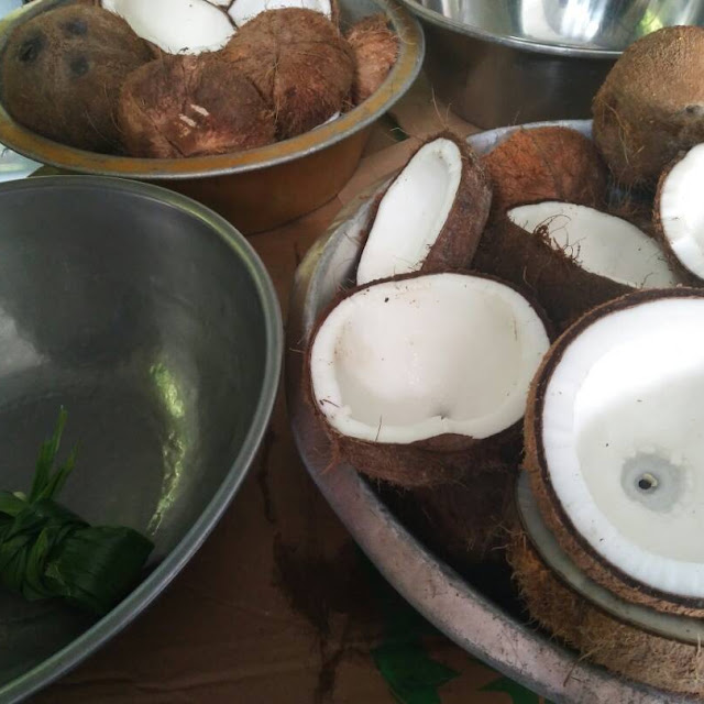 Fresh Coconut Milk