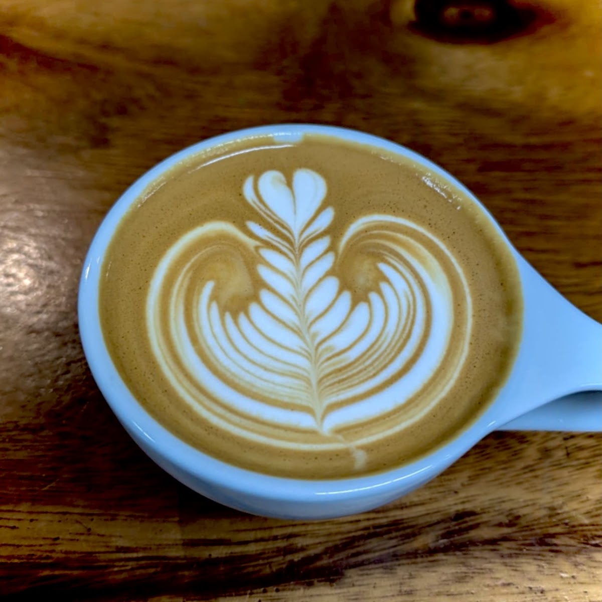 Here's Good Cafe (Frogs on Coondoo)