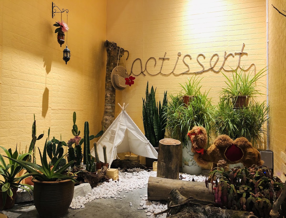 CACTISSERT CAFE