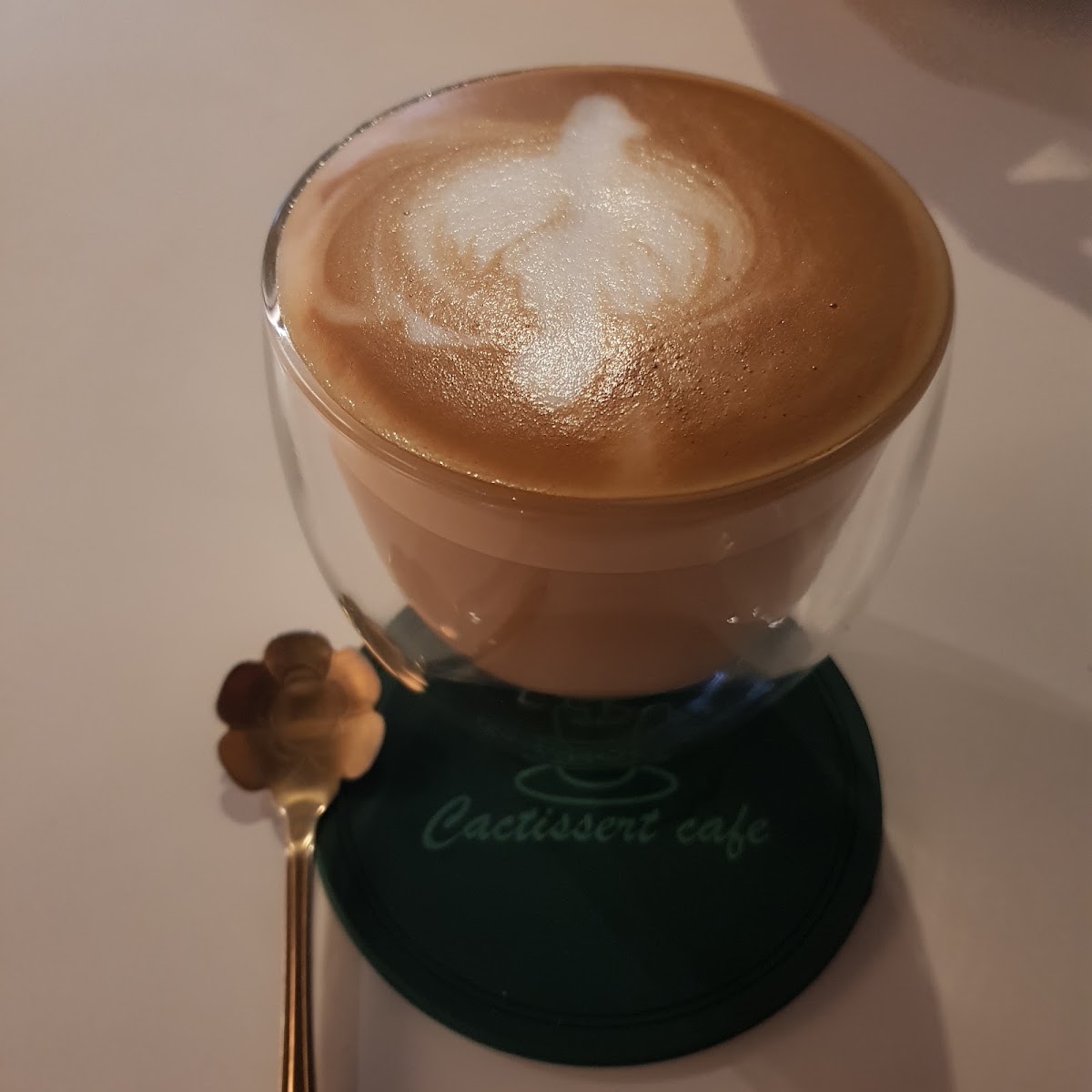 CACTISSERT CAFE