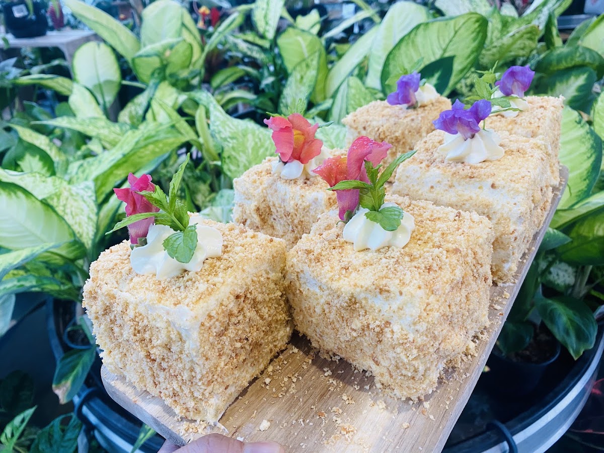 Cafe Botannix Albany