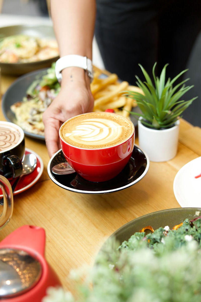 Caffe Cherry Beans - Civic