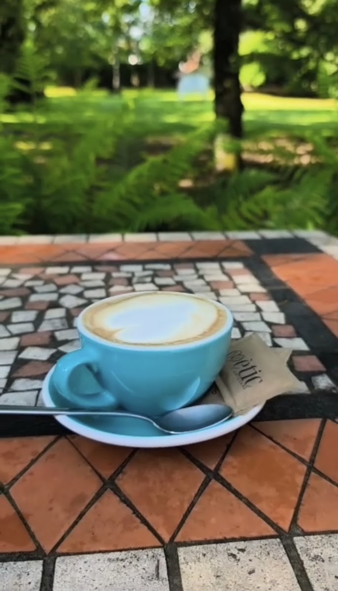 Pit-Roig Bar Cafè