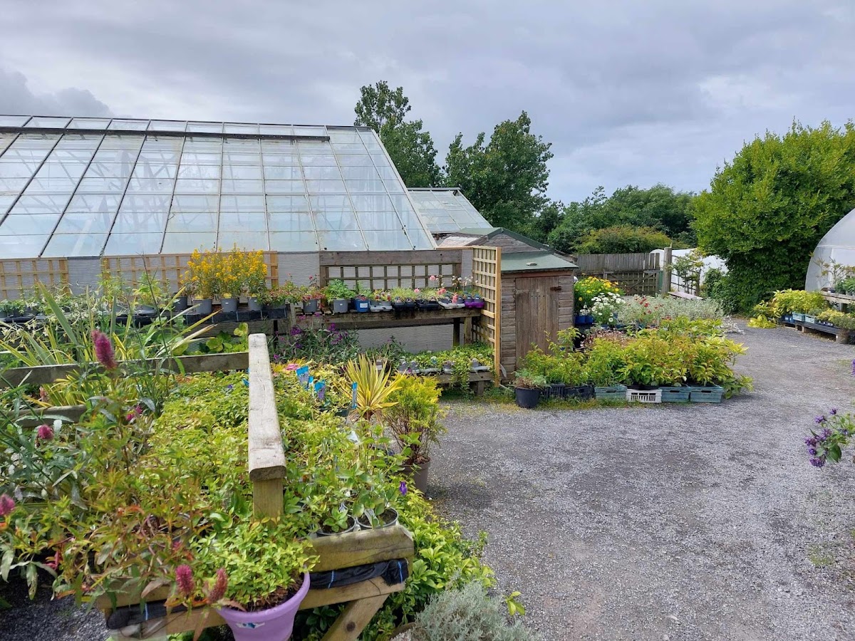 Penrallt Nursery