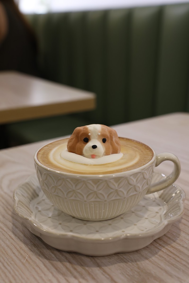 Latter Cafe