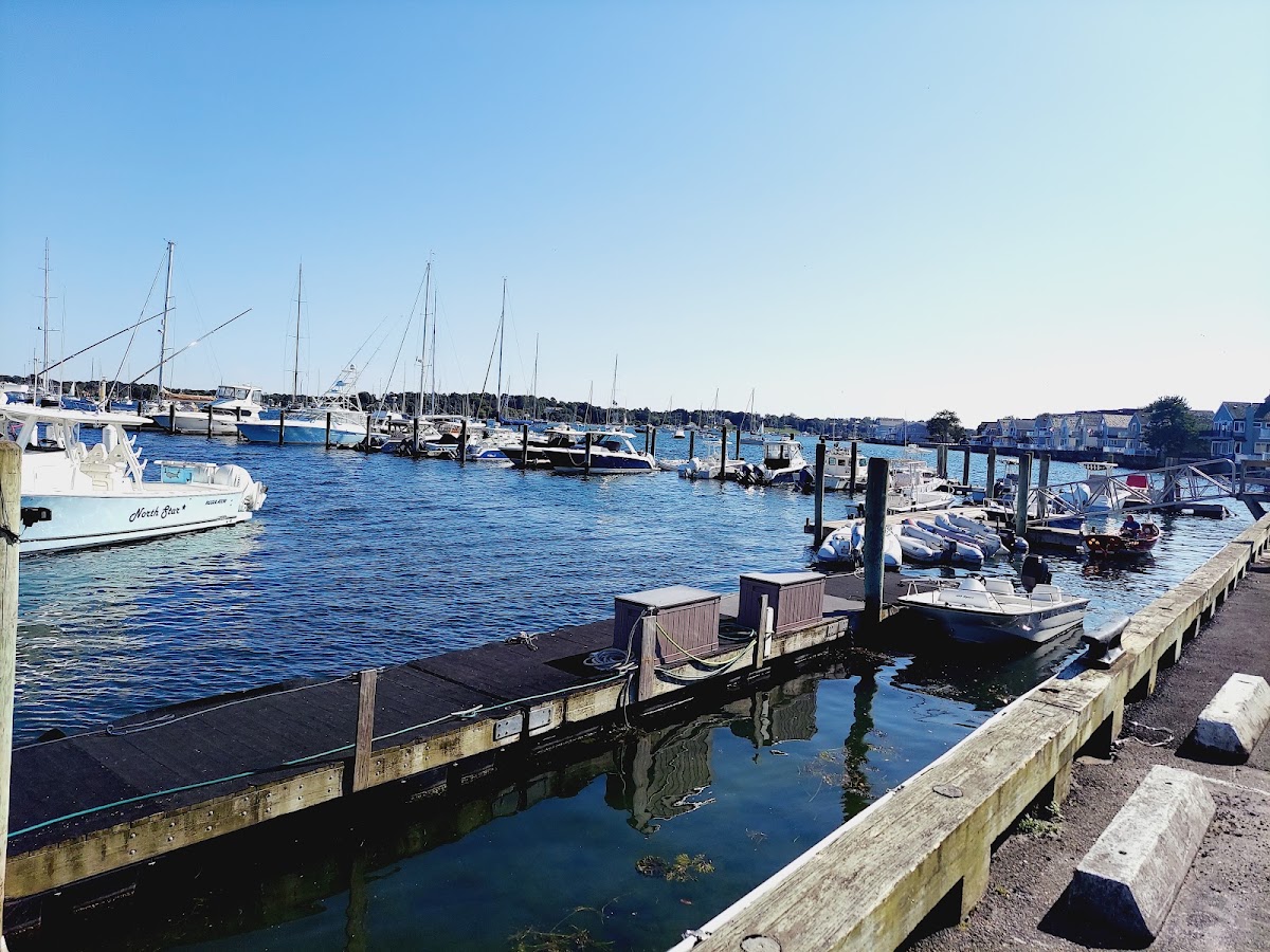 Marina Café & Pub