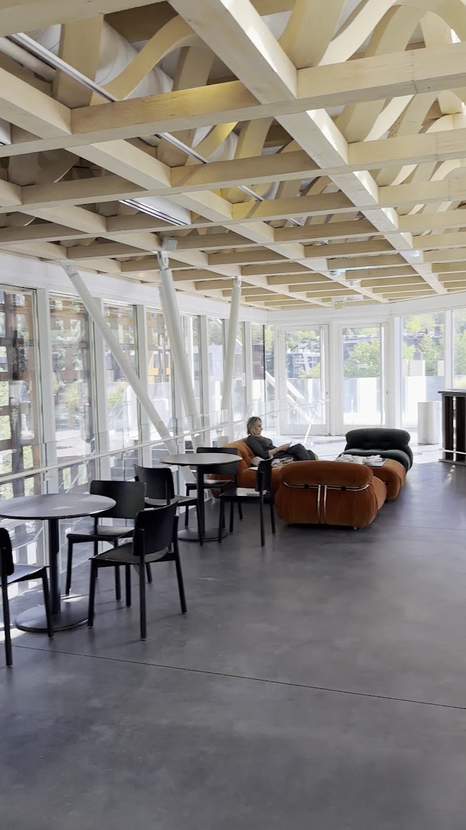 Swedish Hill at Aspen Art Museum