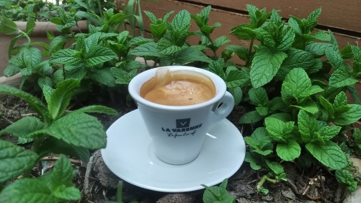 Café Houssine