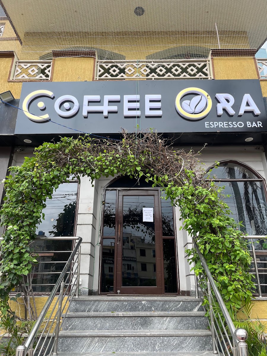 Brew House Jaipur