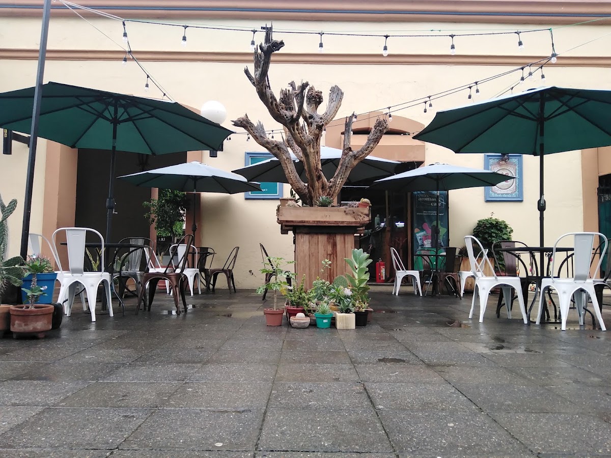 Entre Aromas & café