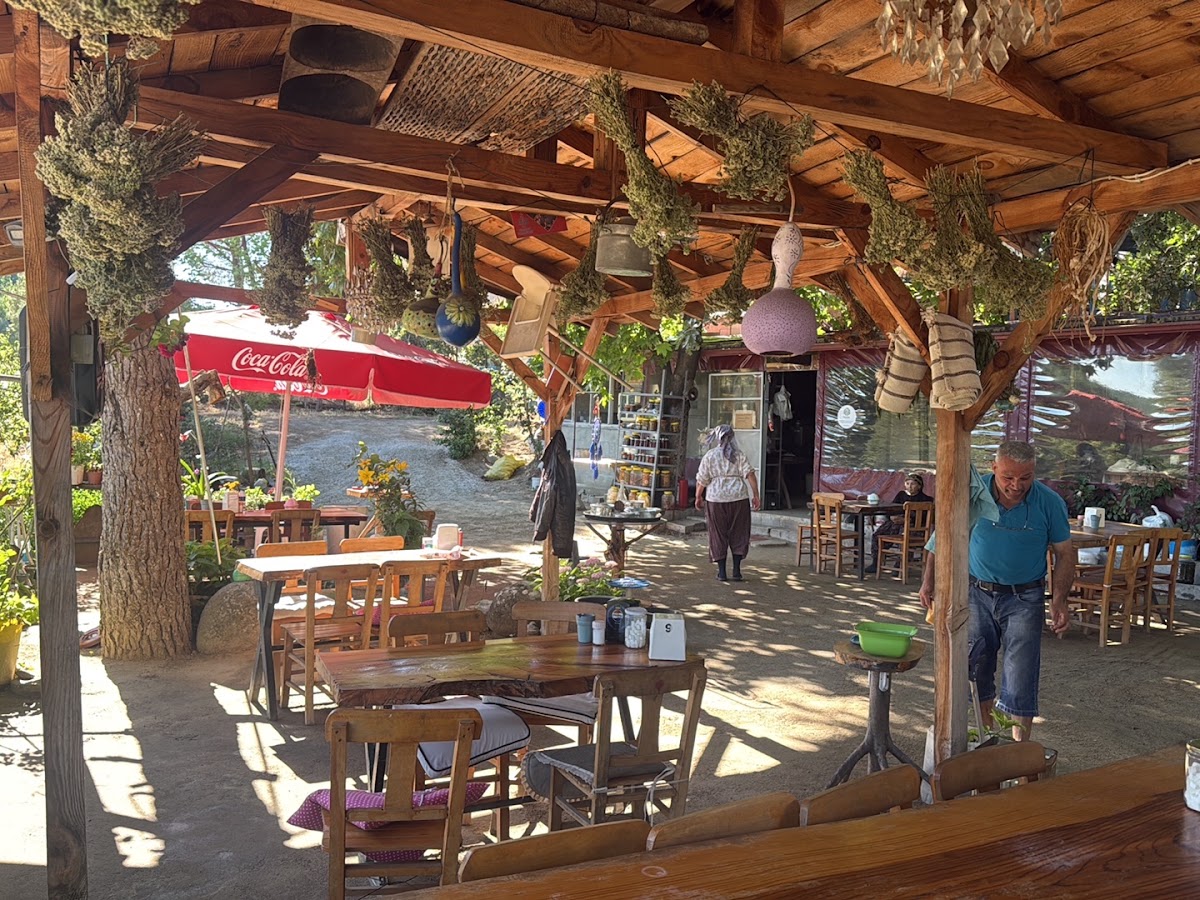Texsas Cafe