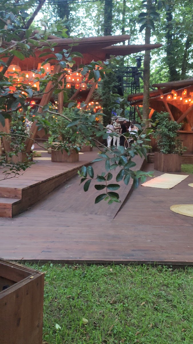 The Social Space