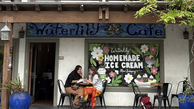 Waterlily Cafe