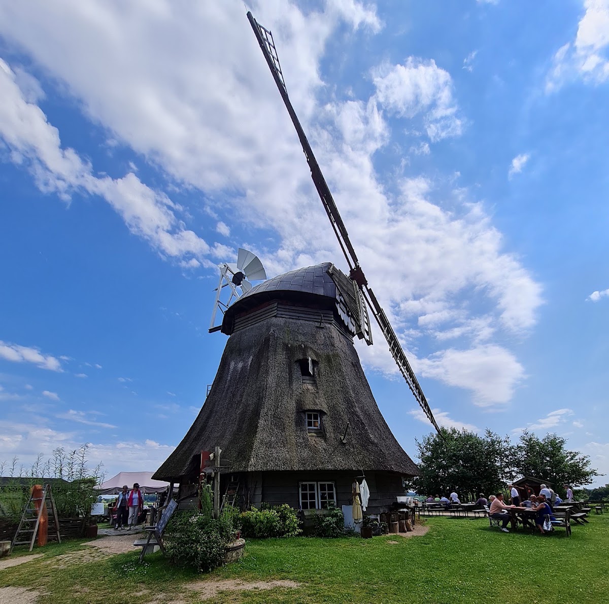 To'n Windbüdel