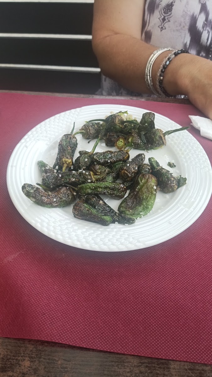 Puro Sabor