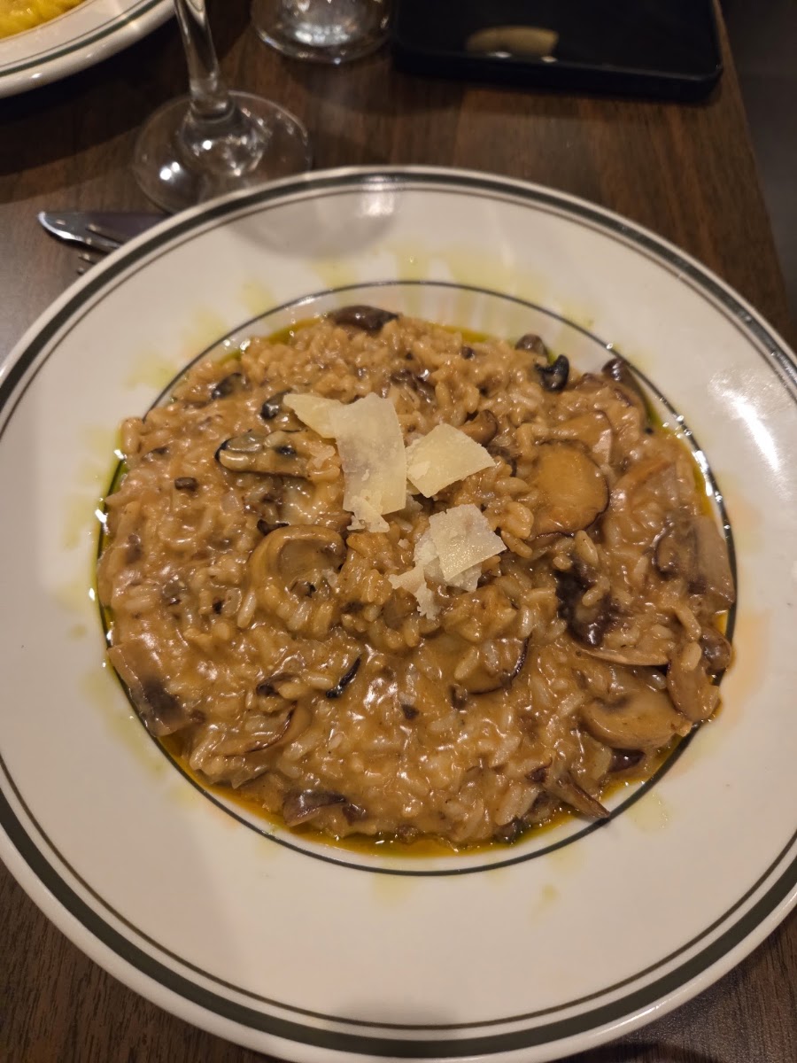 Arka Mediterranean