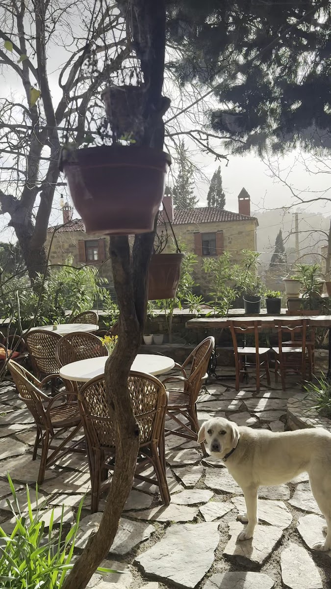 Mavras Restaurant