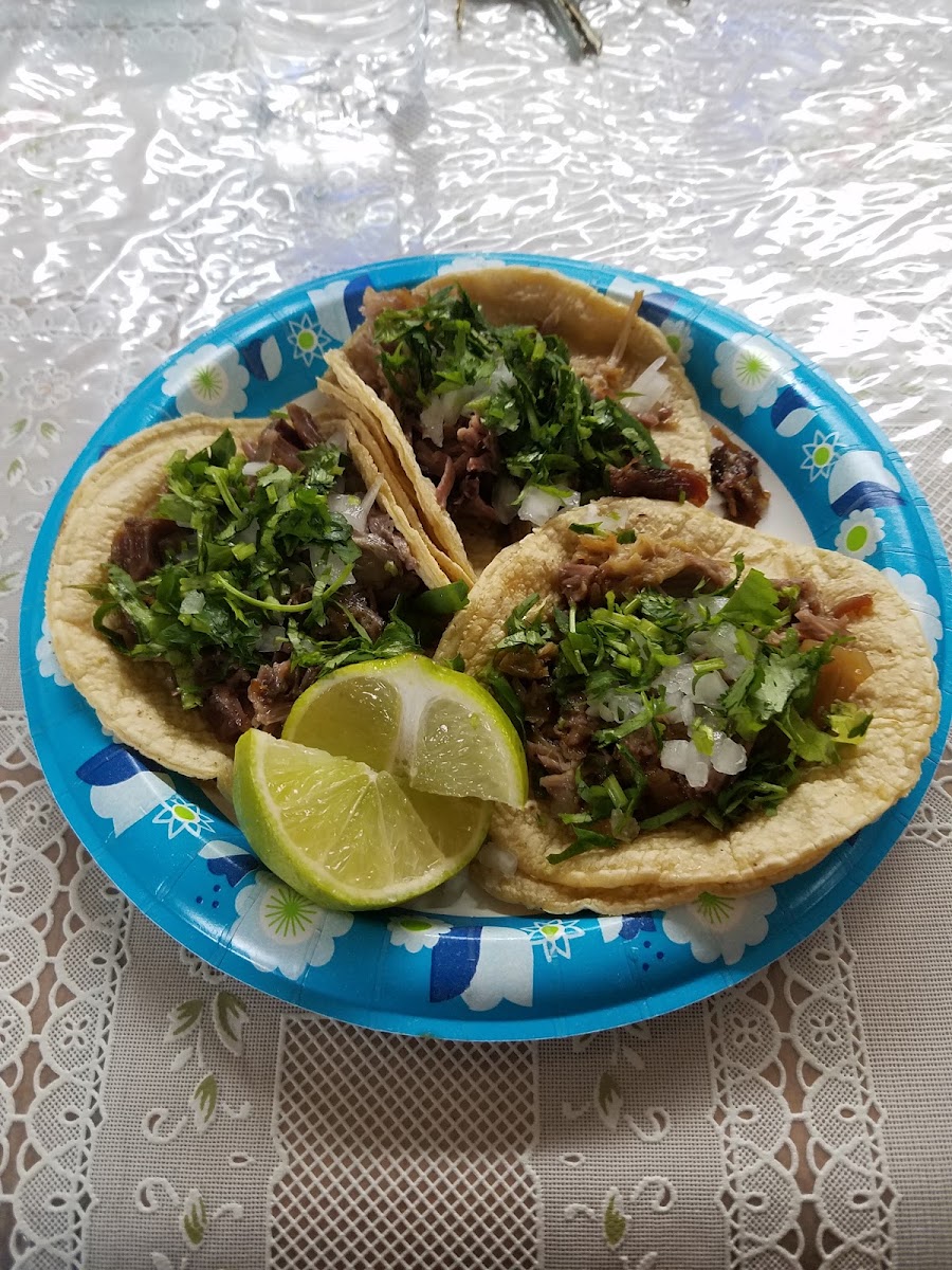 Marianitas
