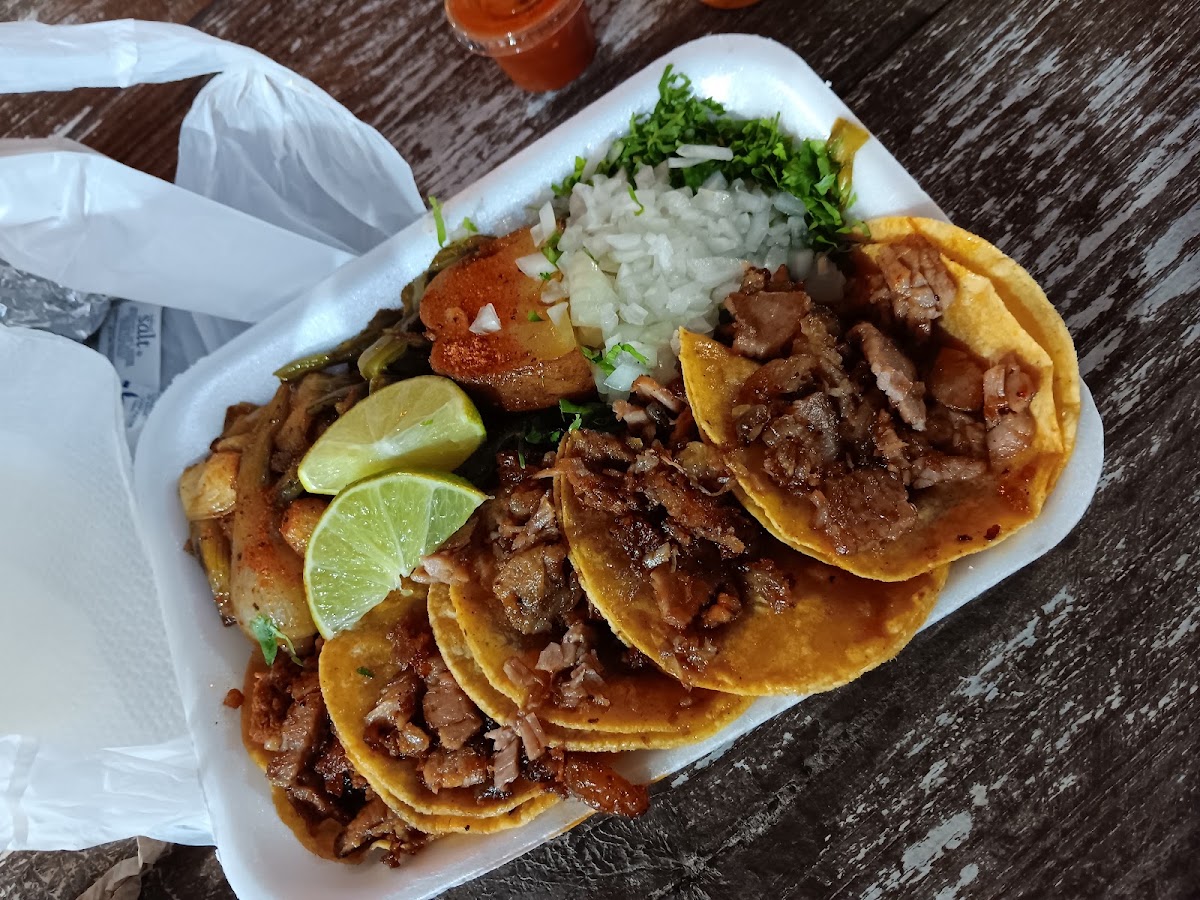 Los Magueyes