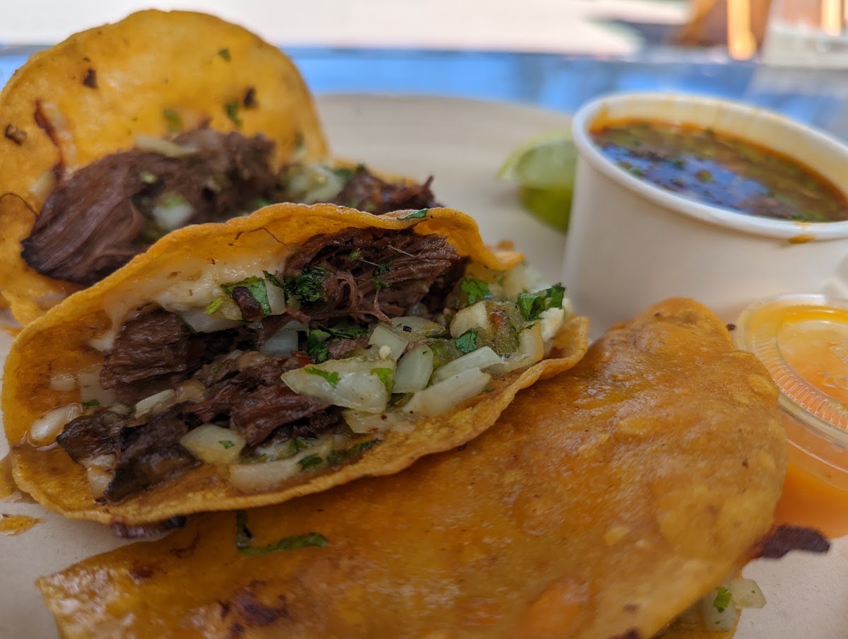 Los Tacos Locos #2