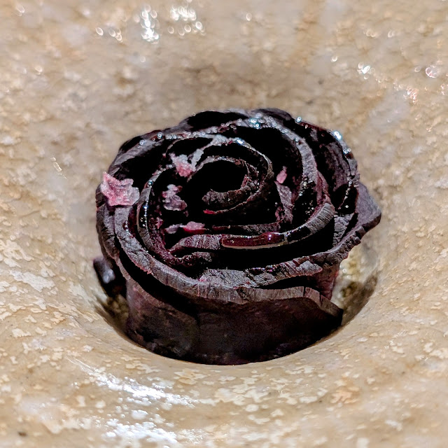 Beet