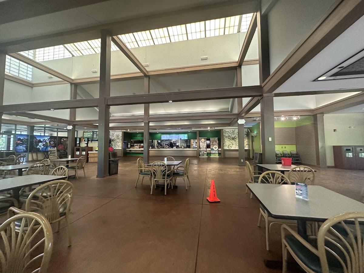 Canopy Café