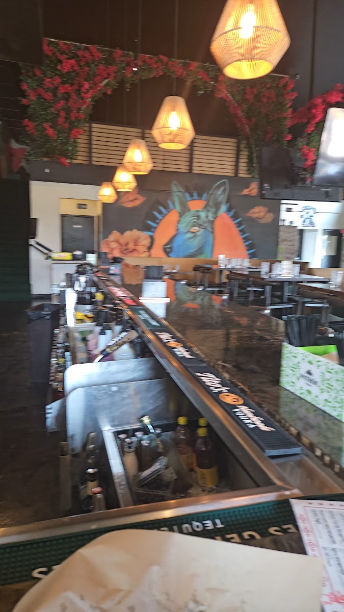 Xolo Mexican Cuisine