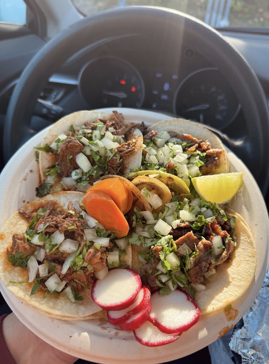 El Oasis (Food Trailer)